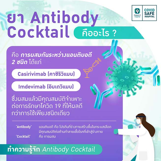 antibody cocktail คือ