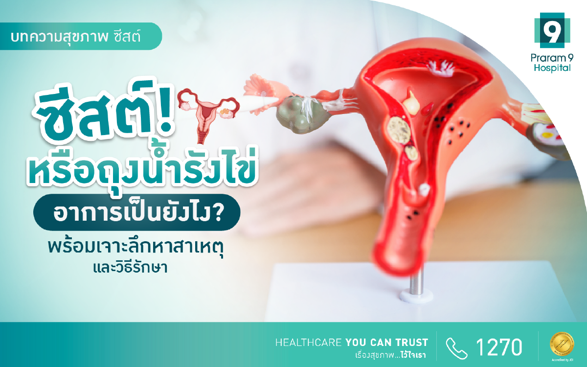ซีสต์