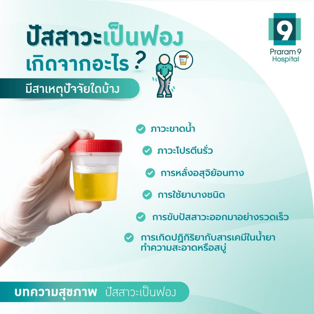 ปัสสาวะเป็นฟอง สาเหตุ